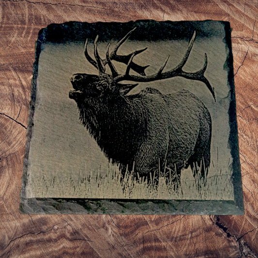 Custom Engraved Slate Coasters